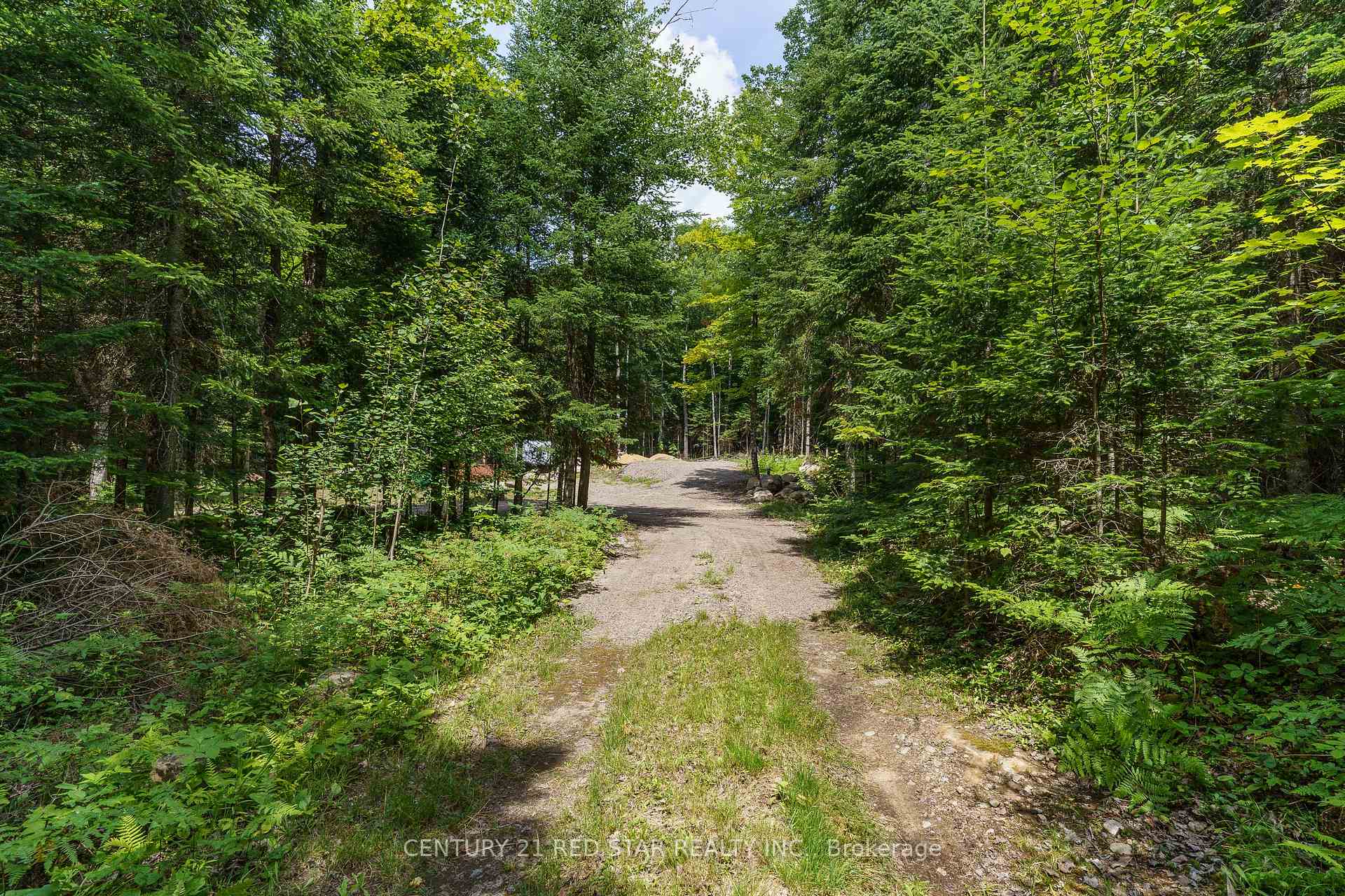 2978 Glamorgan Road Highlands East Ontario Canada Sale residential   CENTURY 21 RED STAR REALTY Inc. Brokerage*