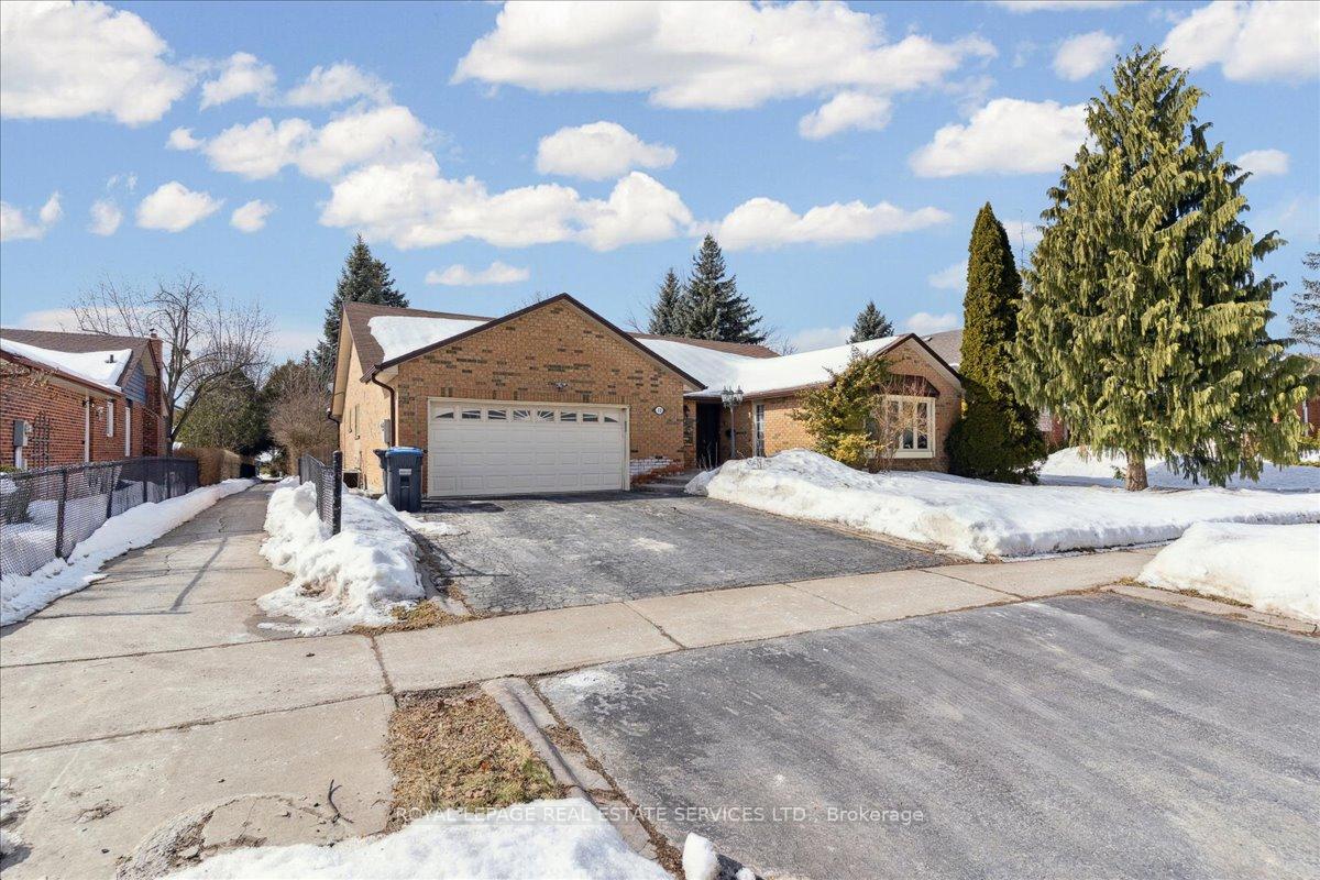 Basemen - 12 Eddystone Drive Brampton Ontario Canada Rented residential Sundeep Babbar Royal Lepage Certified Realty, Brokerage*