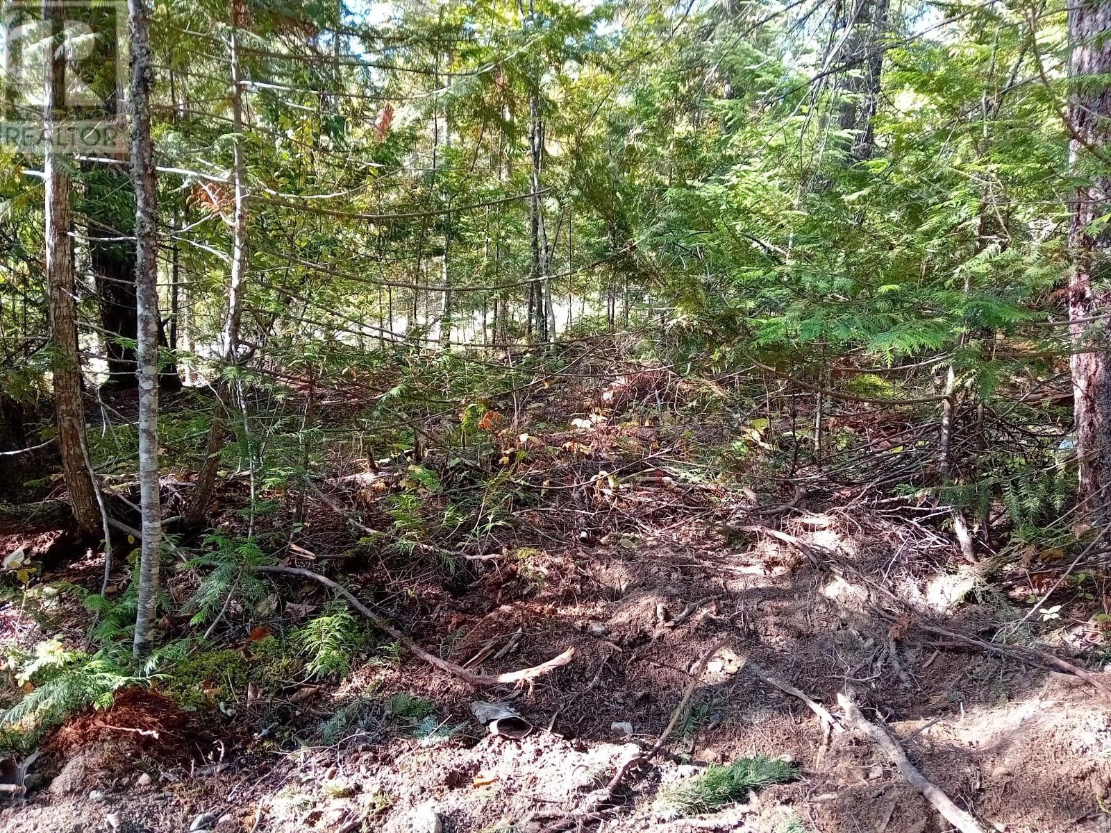 372 Aspen Road Anglemont British Columbia Canada Sale residential Gonzalo Santos PREC Real Broker B.C. Ltd.