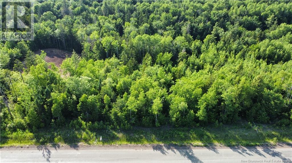 Lot 21-39 Orchard Avenue Irishtown New Brunswick Canada Sale residential   RE/MAX AVANTE