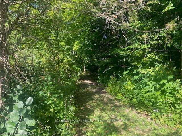 000 County Rd 11, Jones Falls Ro Rideau Lakes Ontario Canada Sale residential Bickerton Brokers Limited, Brokerage *