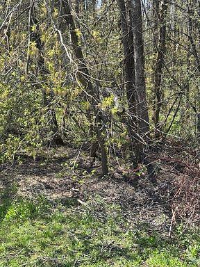 145 Courtland Street Ramara Ontario Canada Sale residential Rochelle Mervin SIMCOE HILLS REAL ESTATE INC.