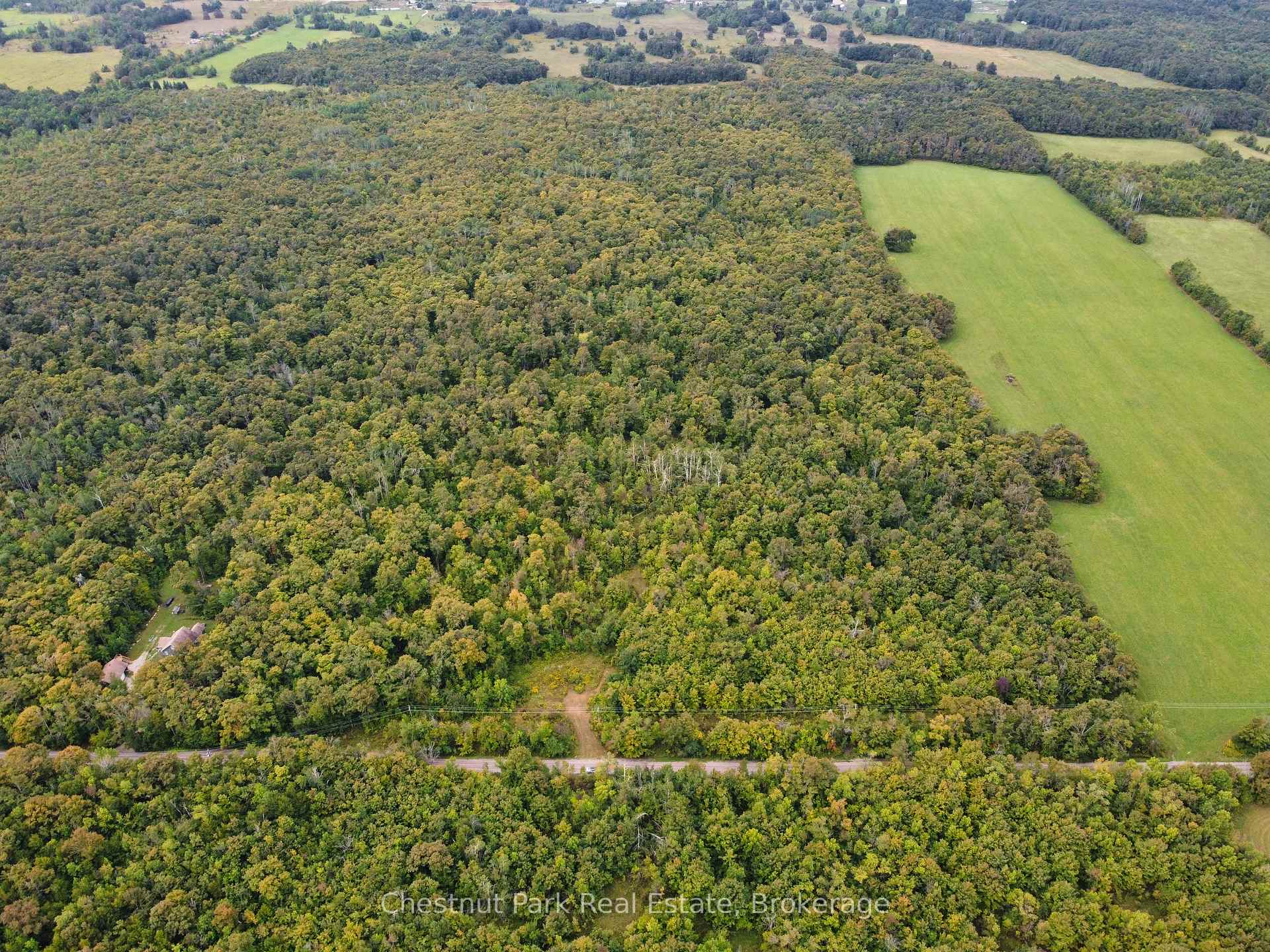 249 Wrights Crescent South Bruce Peninsula Ontario Canada Sale residential   Taylor & Co. Real Estate Professionals