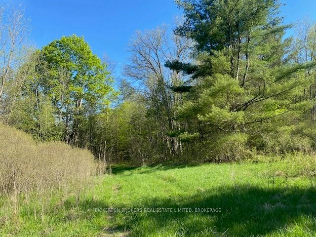 3519 County Rd 3 Road Leeds And The Thousand Islands Ontario Canada Sale residential Bickerton Brokers Limited, Brokerage *