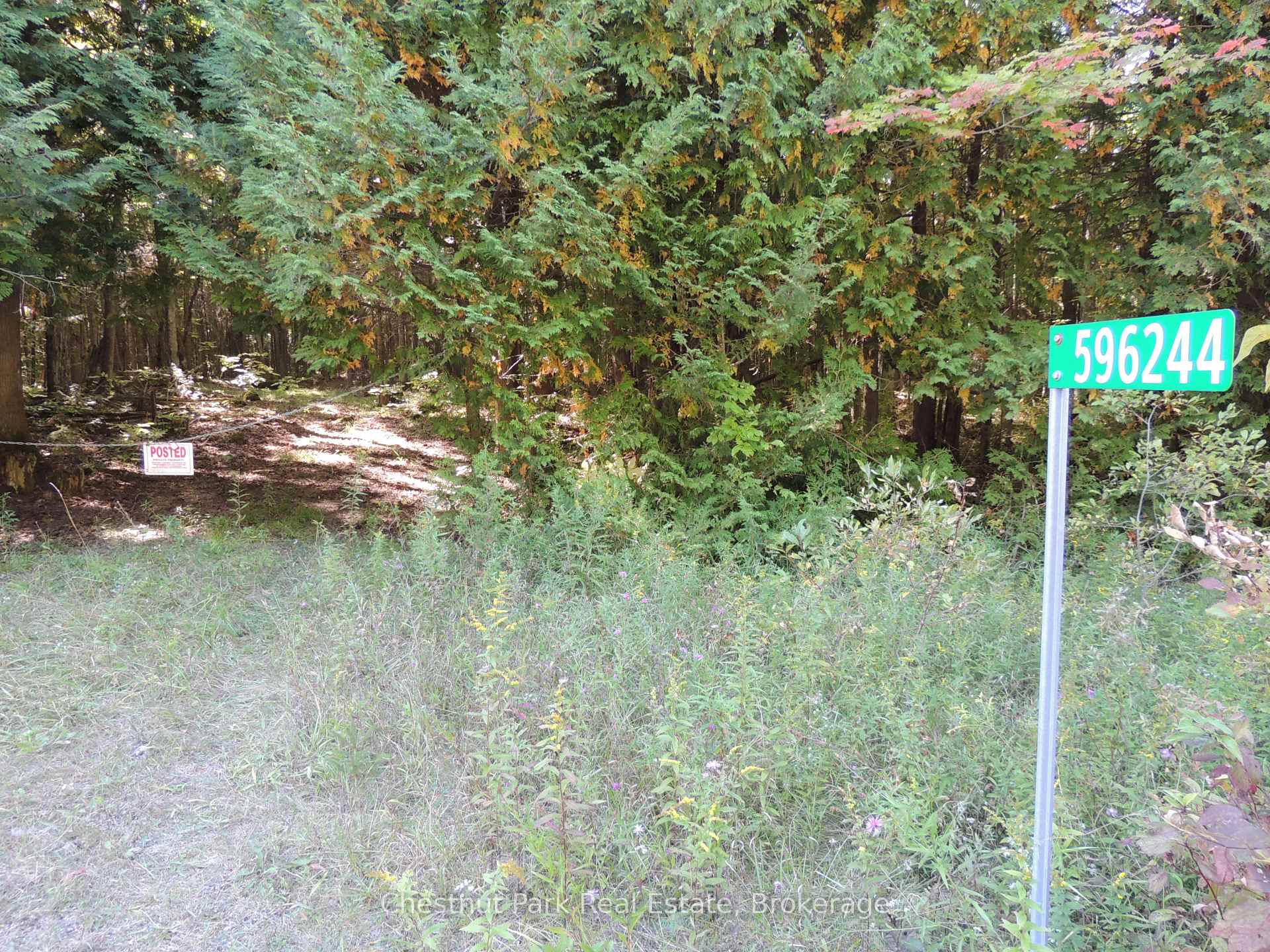 596244 Concession 10 Chatsworth Ontario Canada Sale residential   Georgian Bay Group | Chestnut Park Real Estate Ltd. Brokerage