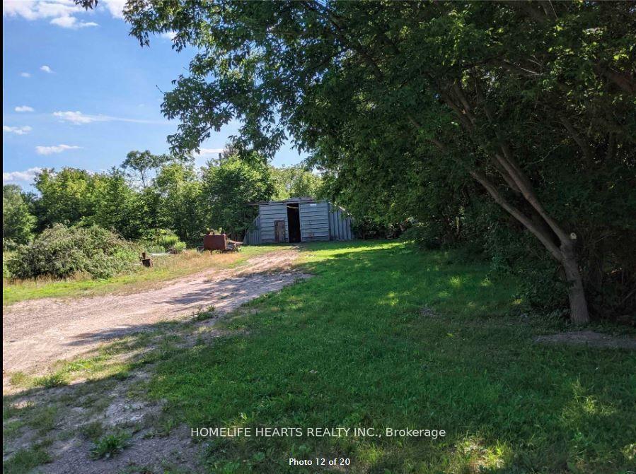 25 Gream Street Centre Hastings Ontario Canada Sale commercial Susan Nacario HomeLife Hearts Realty Inc., Brokerage *