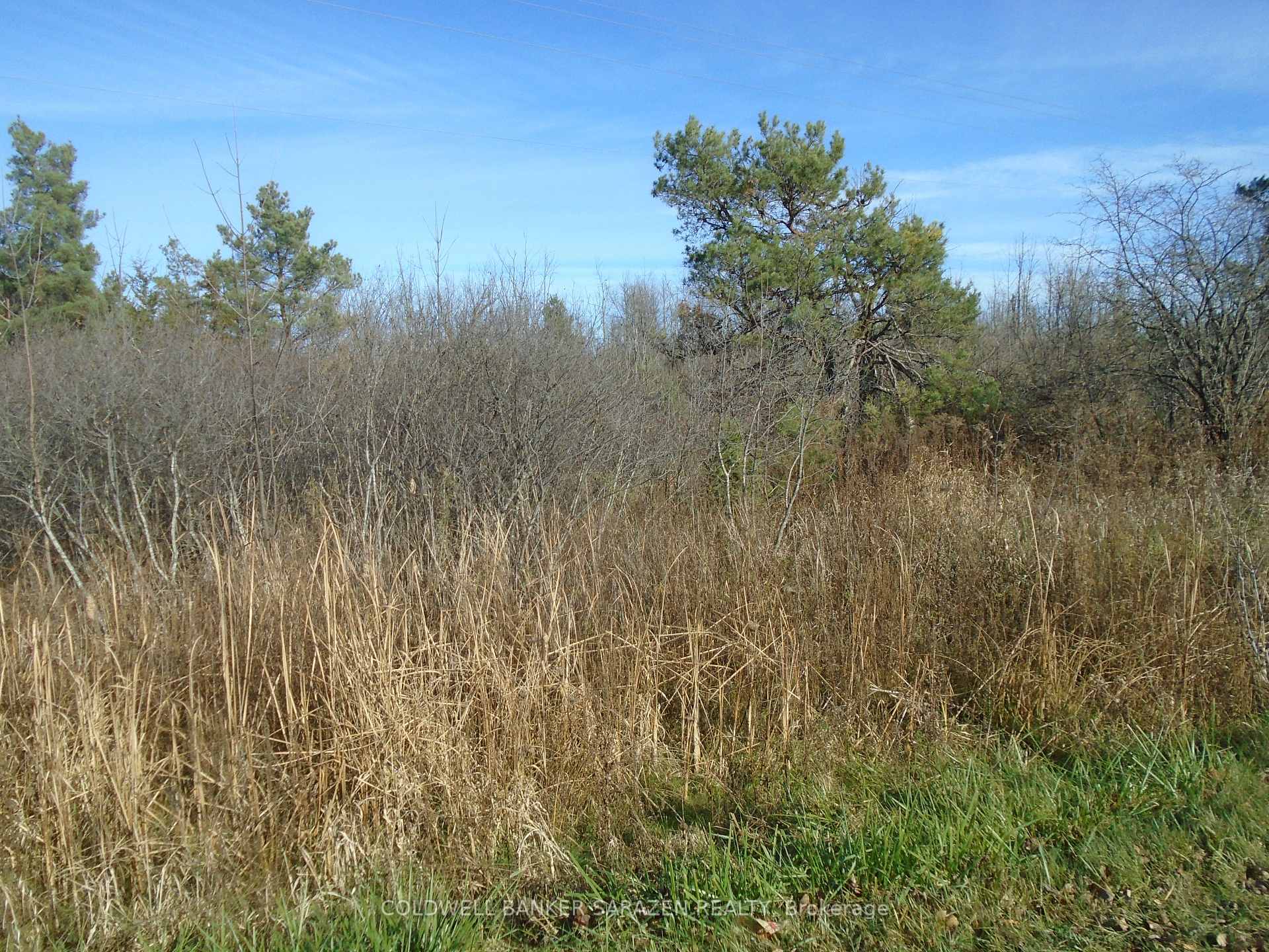 49 Rideau Avenue N Montague Ontario Canada Sale residential Lakshmipathi Kuppala Coldwell Banker Sarazen Realty, Brokerage*