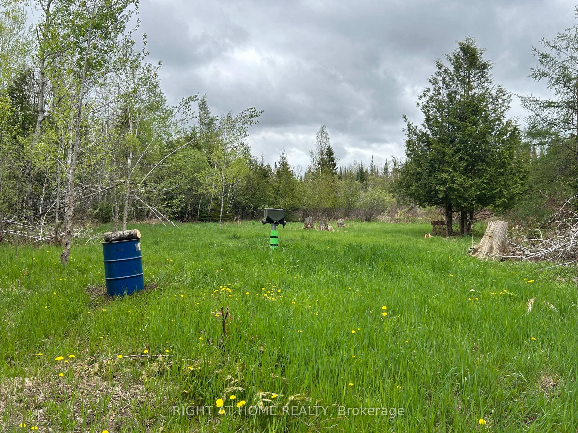 0 Mount Horeb Road Kawartha Lakes Ontario Canada Sale residential   Right at Home Realty, Brokerage