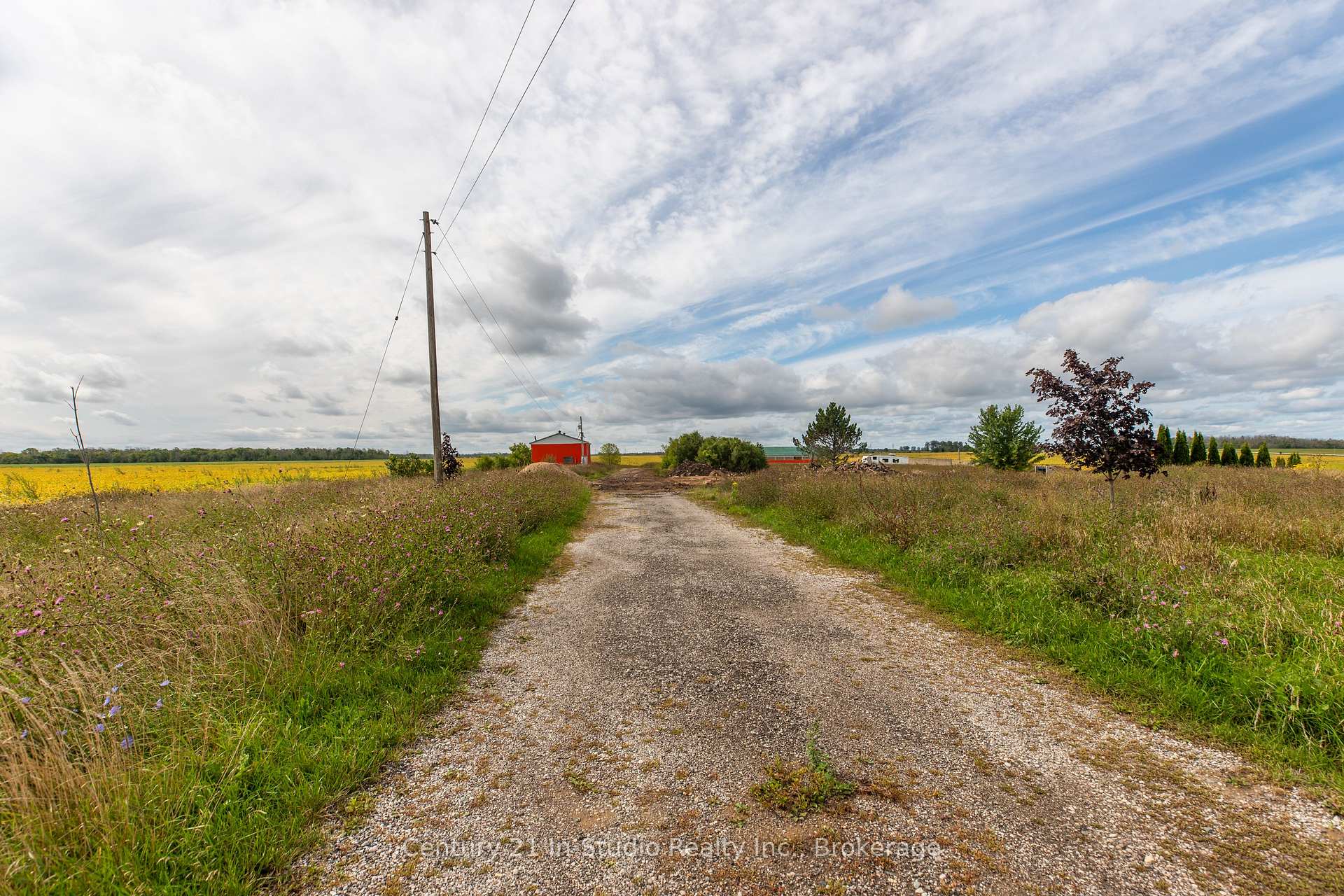 Land/Vacant Land's Image 10