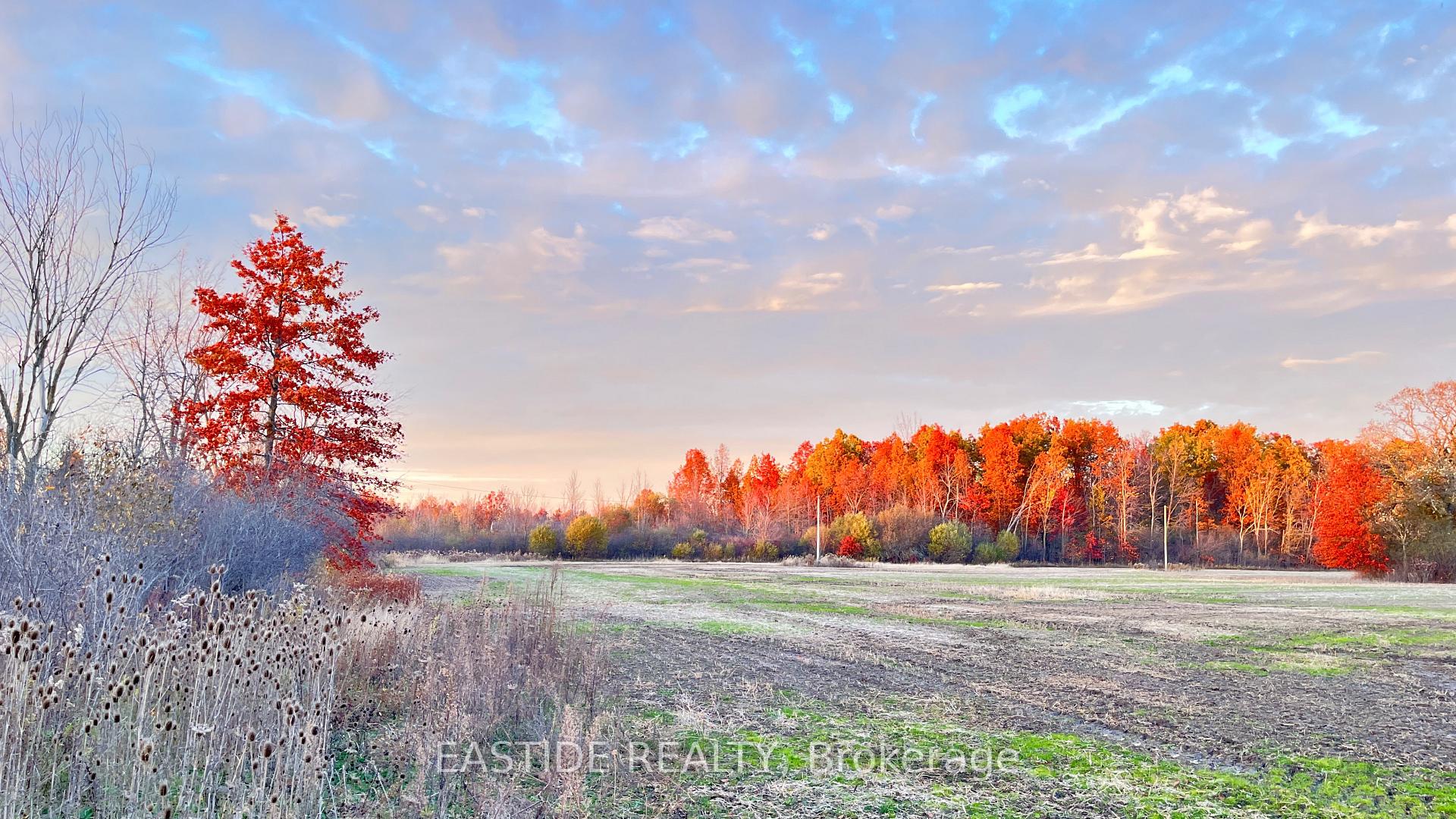 12880 Ort Road Niagara Falls Ontario Canada Sale commercial Ken Lampman COLDWELL BANKER ADVANTAGE REAL ESTATE INC, BROKERAGE*