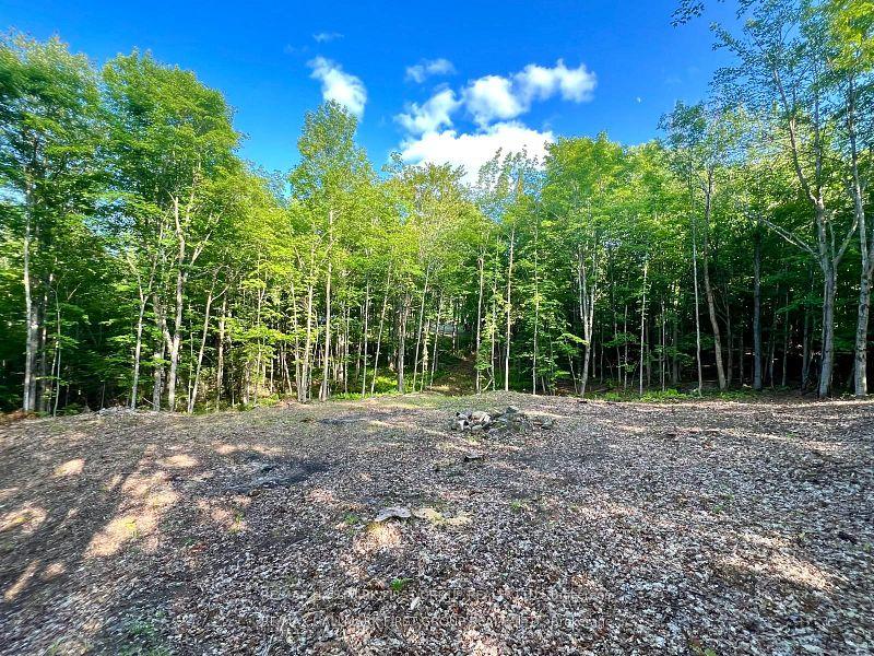 678 Centreview Road Hastings Highlands Ontario Canada Sale residential McRobert Real Estate Group McROBERT REAL ESTATE GROUP