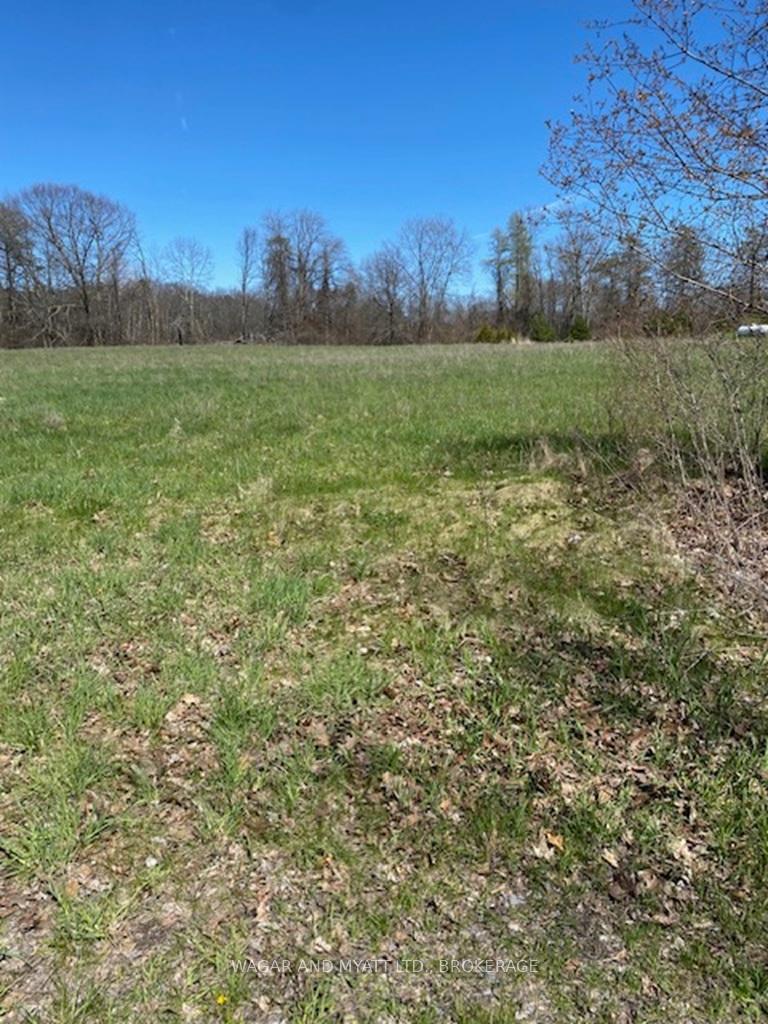 15 Youngs Point Road Greater Napanee Ontario Canada Sale residential   Wagar & Myatt Ltd., Real Estate Brokerage