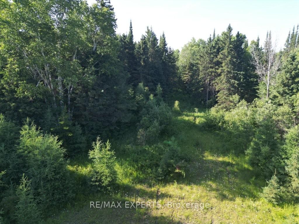 LOT 12 CON 5 Dorion Ontario Canada Sold residential Alex Ricci Re/Max Experts  