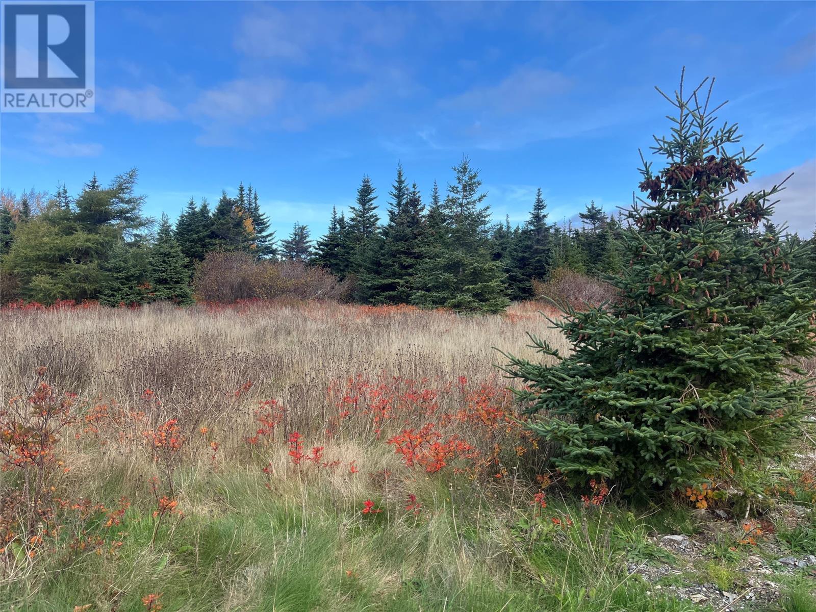 17-25 Bay Ridge Road Ferryland Newfoundland And Labrador Canada Sale residential   HomeLife Experts Realty Inc. *