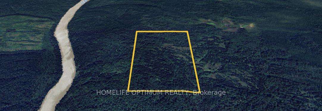 75.25 Acres in Pyne Township - P Cochrane Ontario Canada Sale commercial   HomeLife Optimum Realty Brokerage