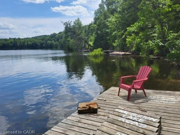 5803 Haliburton Lake Road Dysart Et Al Ontario Canada Sale residential Asha  Chhabra RE/MAX Realty Specialists Inc, Brokerage*