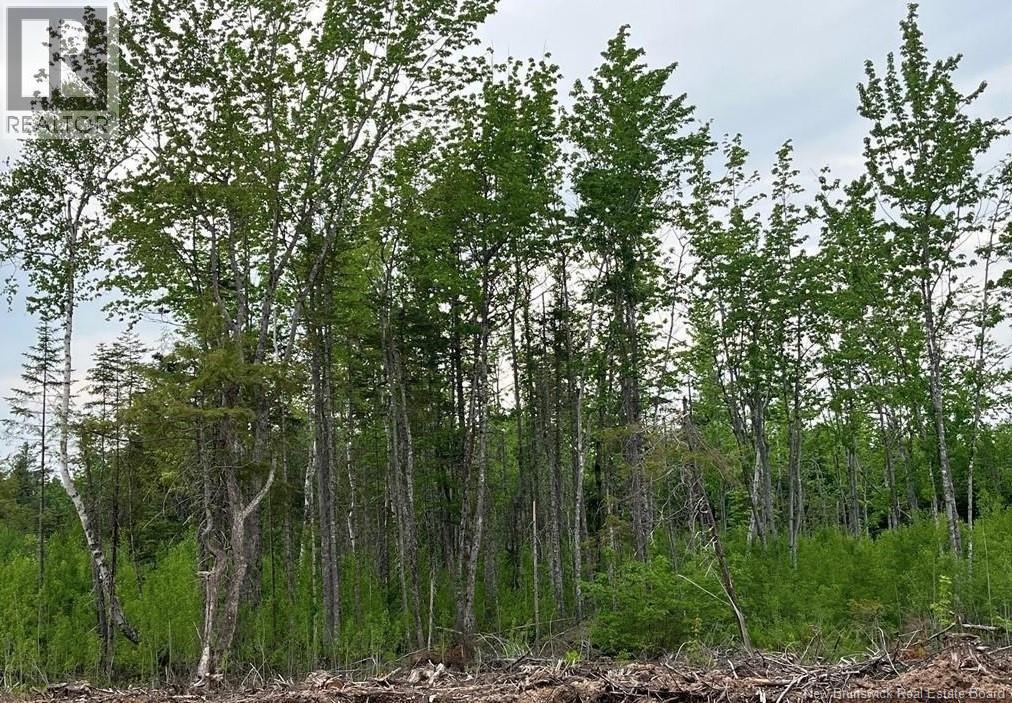 24-03 Chultun Court Lower Coverdale New Brunswick Canada Sale residential   RE/MAX AVANTE