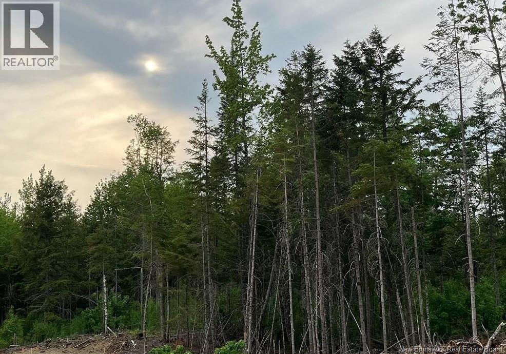 24-01 Chultun Court Lower Coverdale New Brunswick Canada Sale residential   RE/MAX AVANTE