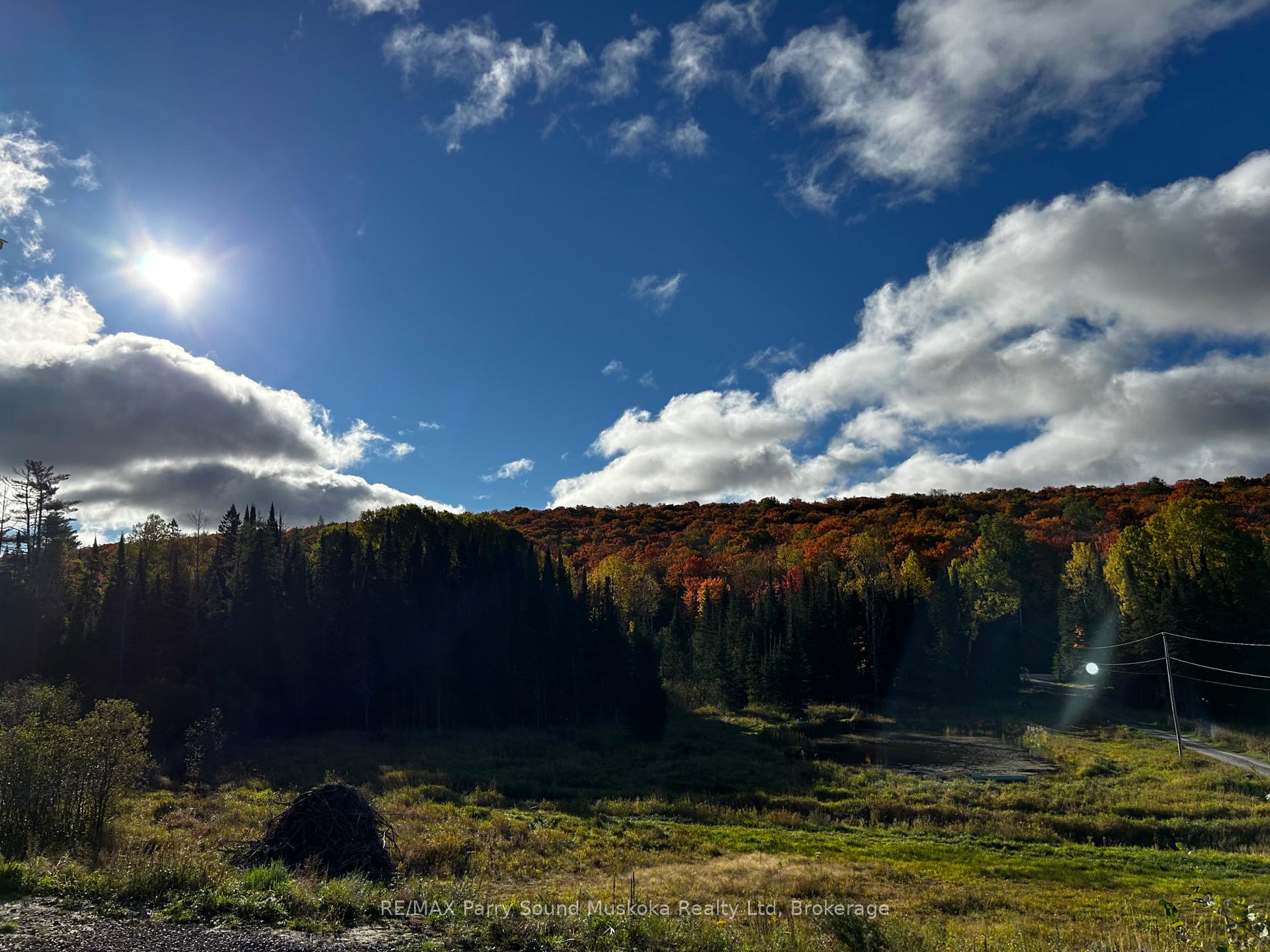 556 Highway 518 W Perry Ontario Canada Sale residential Gary Phillips RE/MAX PARRY SOUND MUSKOKA REALTY LTD., BROKERAGE*