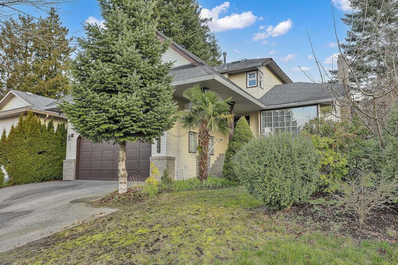 6378 124 STREET Surrey British Columbia Canada Sale residential   HomeLife Realty Services