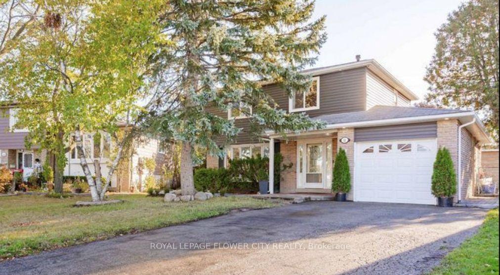 Basement - 12 Gondola Crescent Brampton Ontario Canada Rent residential Raman Dua ROYAL LEPAGE FLOWER CITY REALTY