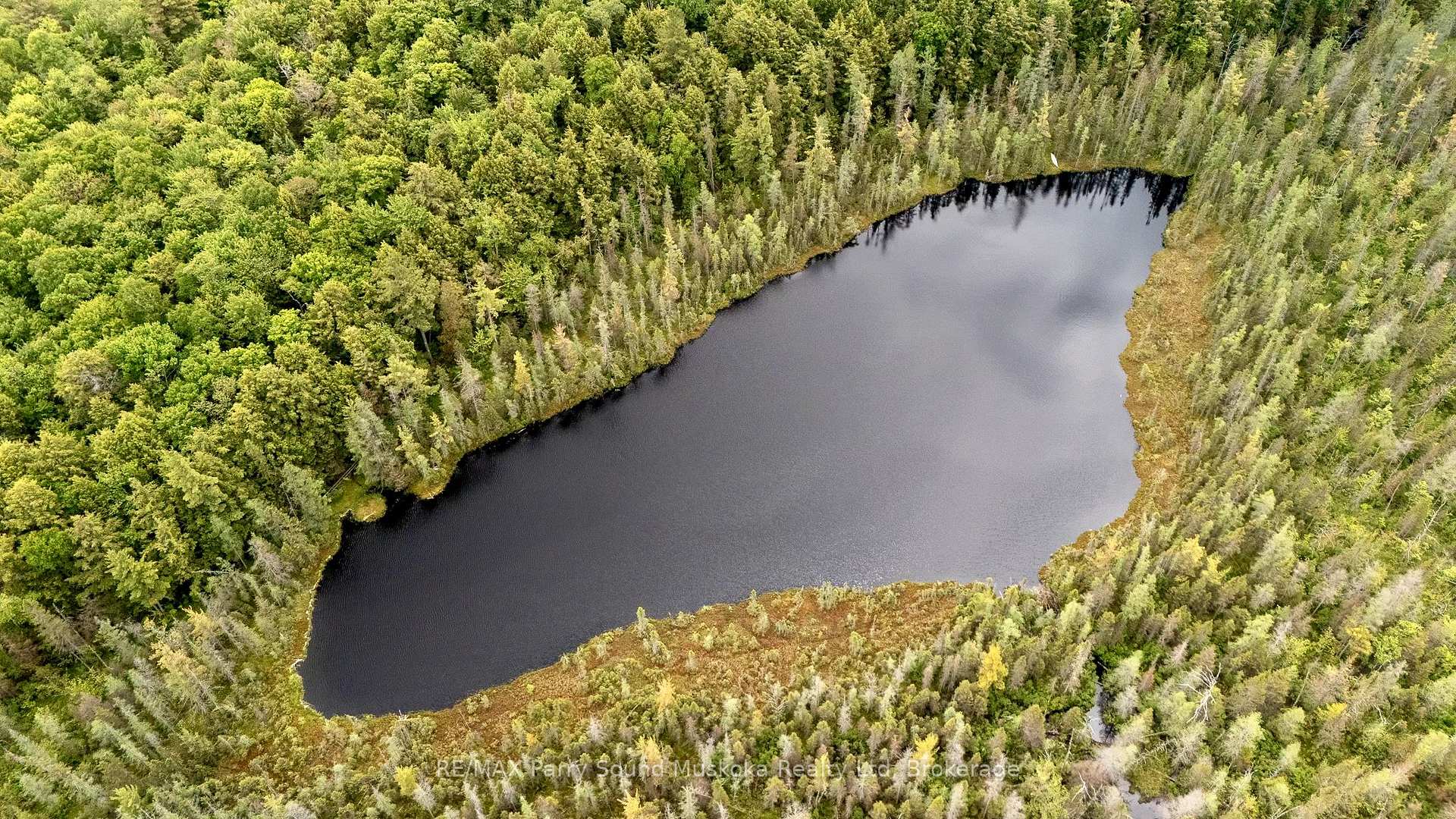 372 McDougall Road Mcdougall Ontario Canada Sale residential Gary Phillips RE/MAX PARRY SOUND MUSKOKA REALTY LTD., BROKERAGE*