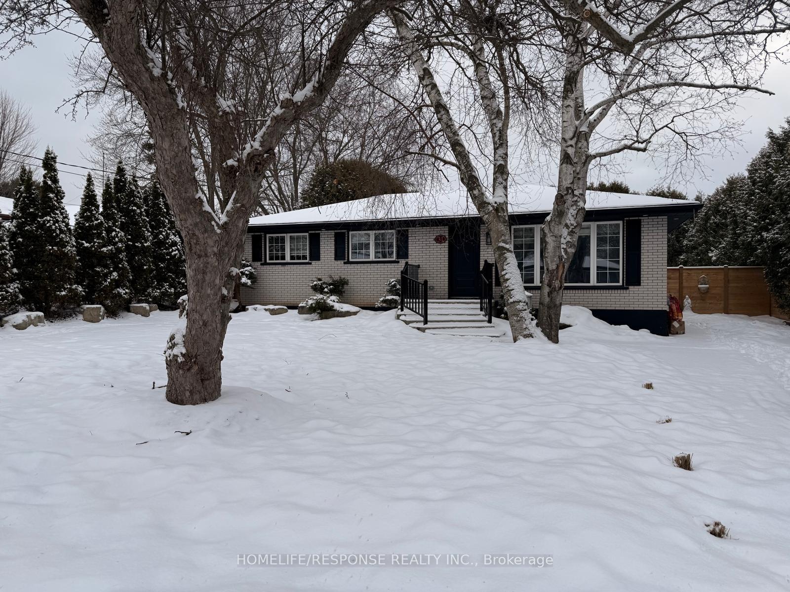 BASEMENT - 31 Varadi Avenue Brantford Ontario Canada Rent residential   HomeLife/Response Realty Inc., Brokerage*