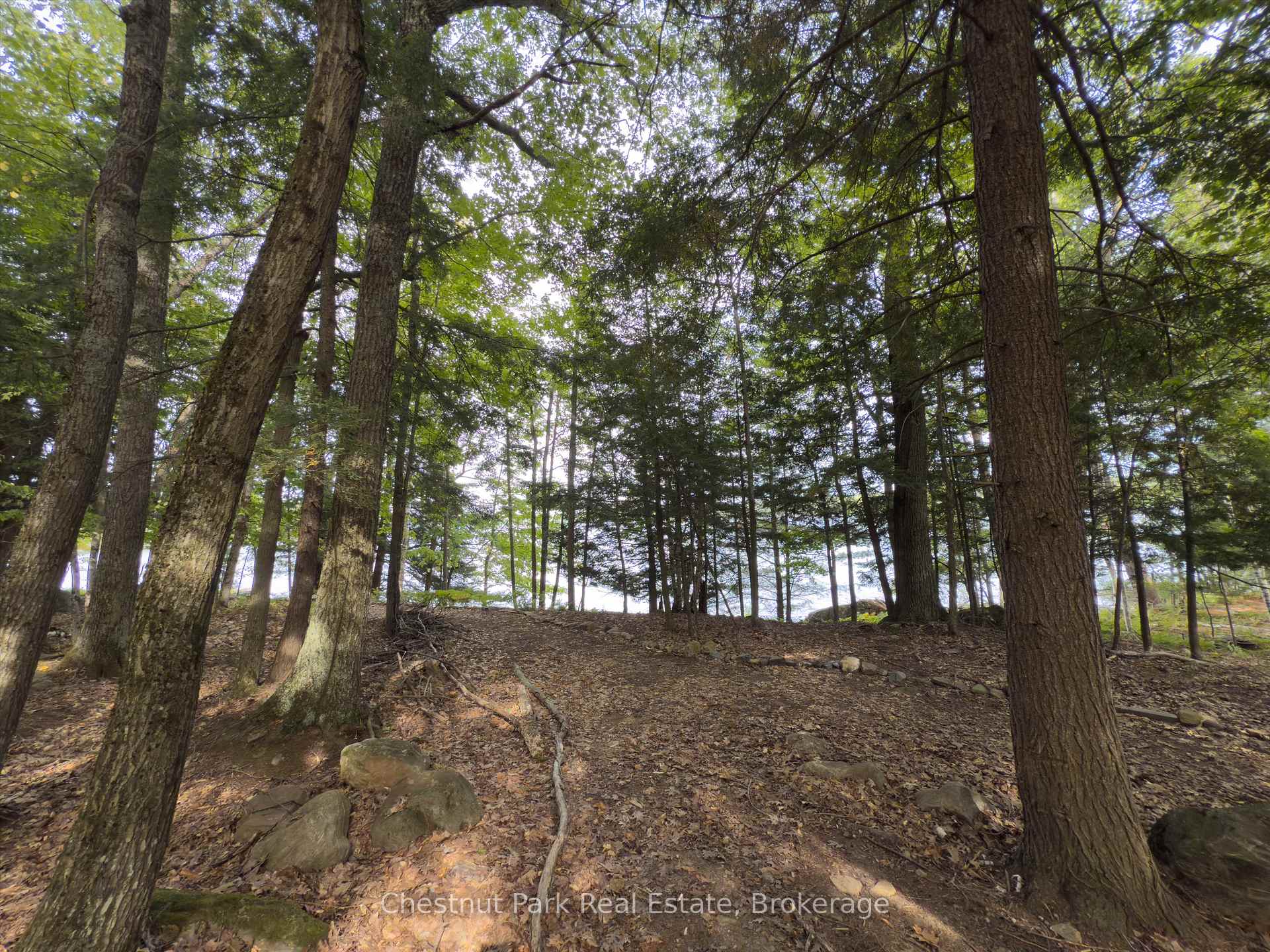Land/Vacant Land's Image 18