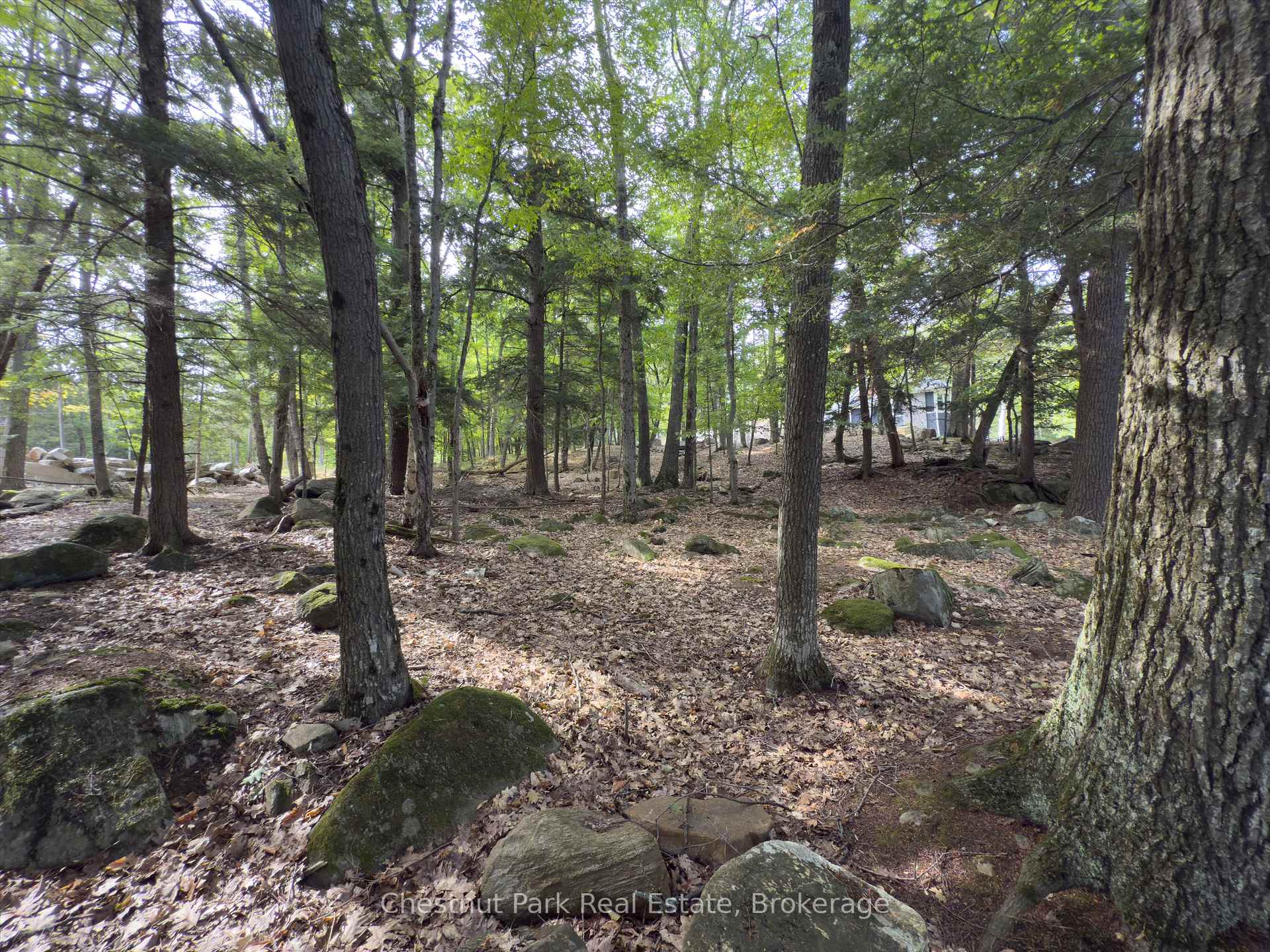 Land/Vacant Land's Image 17