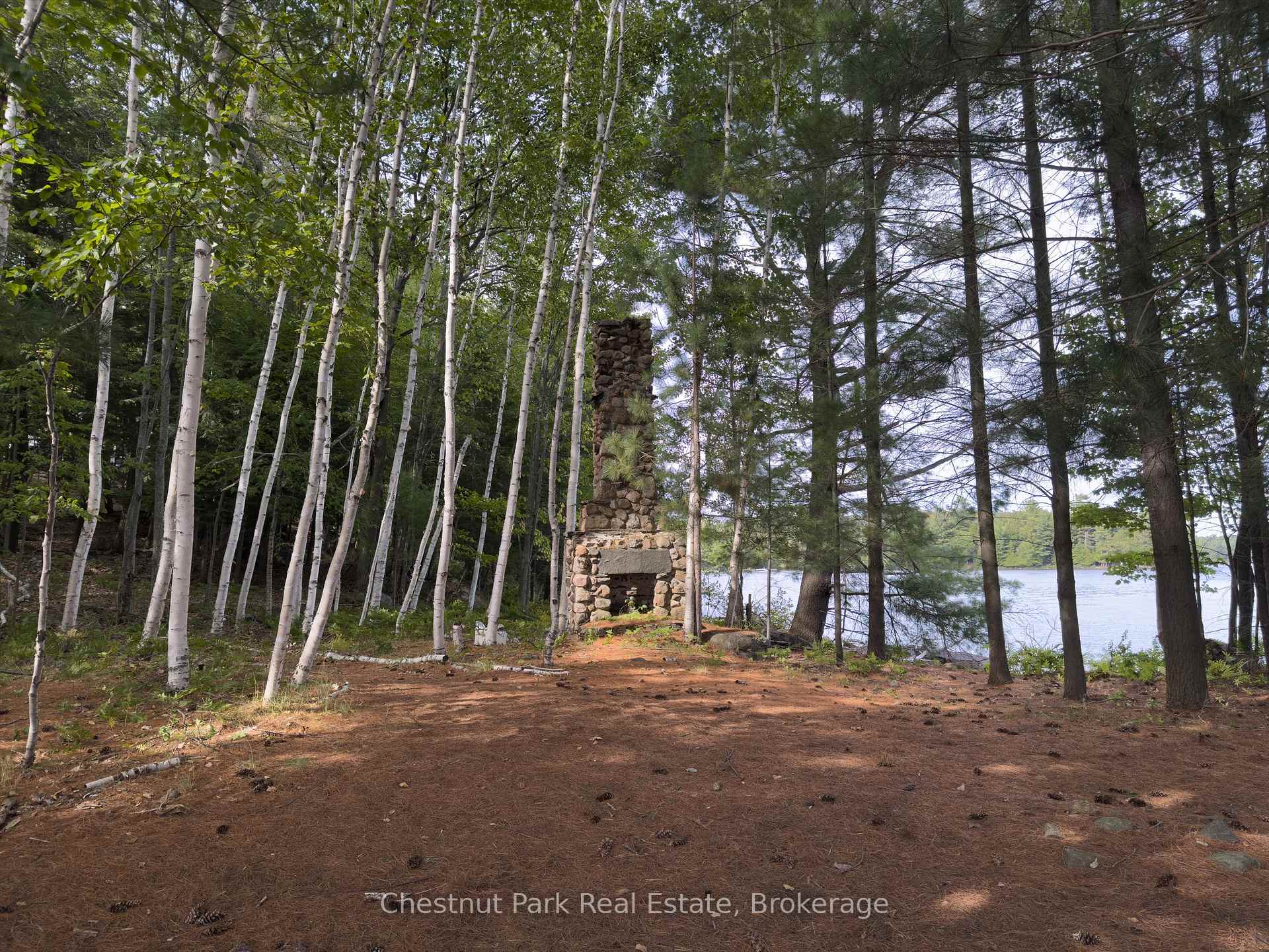 Land/Vacant Land's Image 16