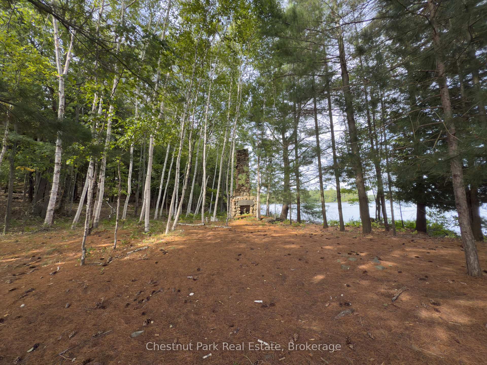 Land/Vacant Land's Image 15