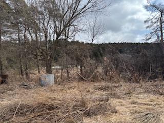 937054 Airport Road Mulmur Ontario Canada Sale commercial Vahid Jeihounian HomeLife/Cimerman Real Estate Ltd., Brokerage*