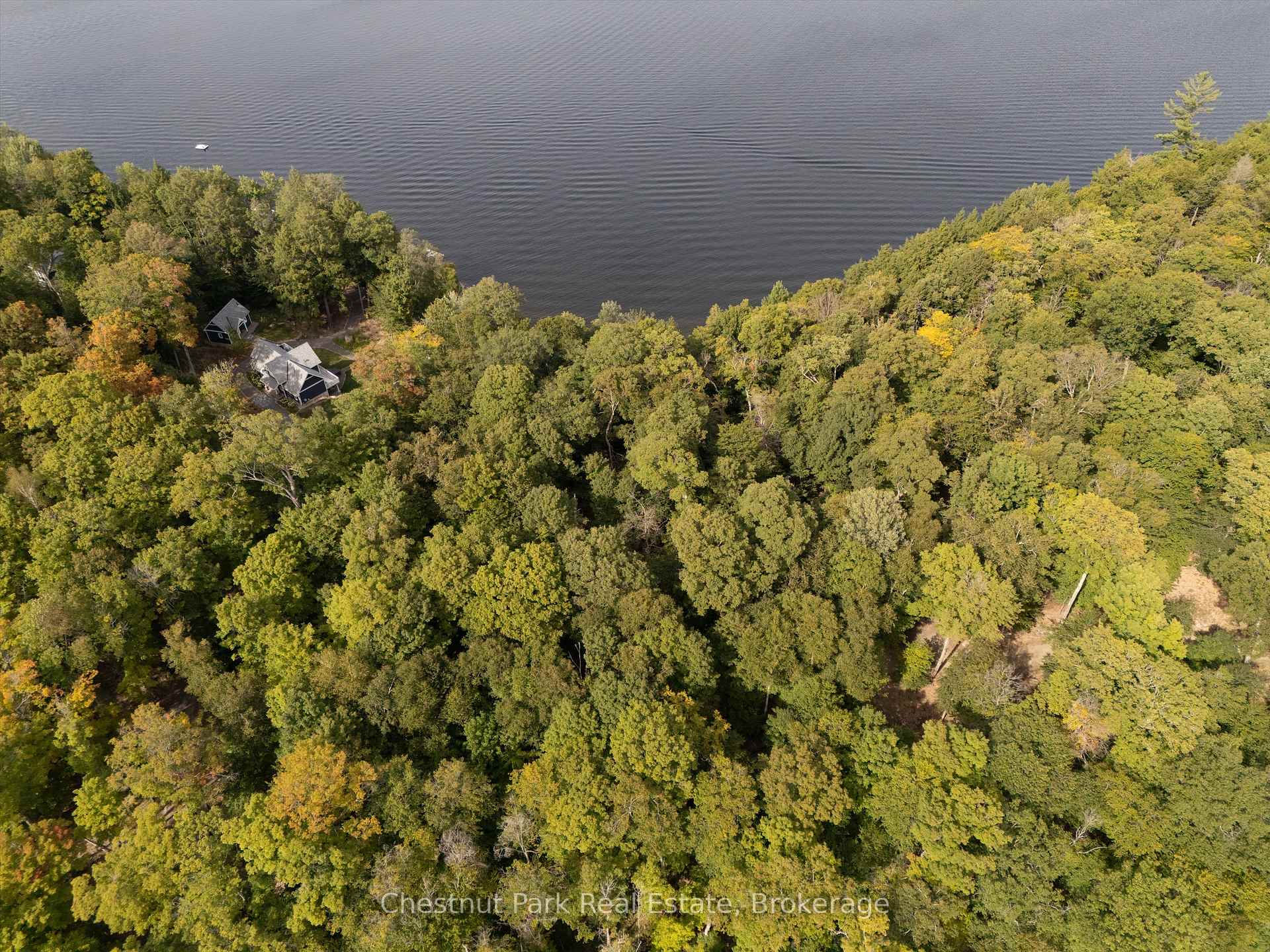 Land/Vacant Land's Image 11