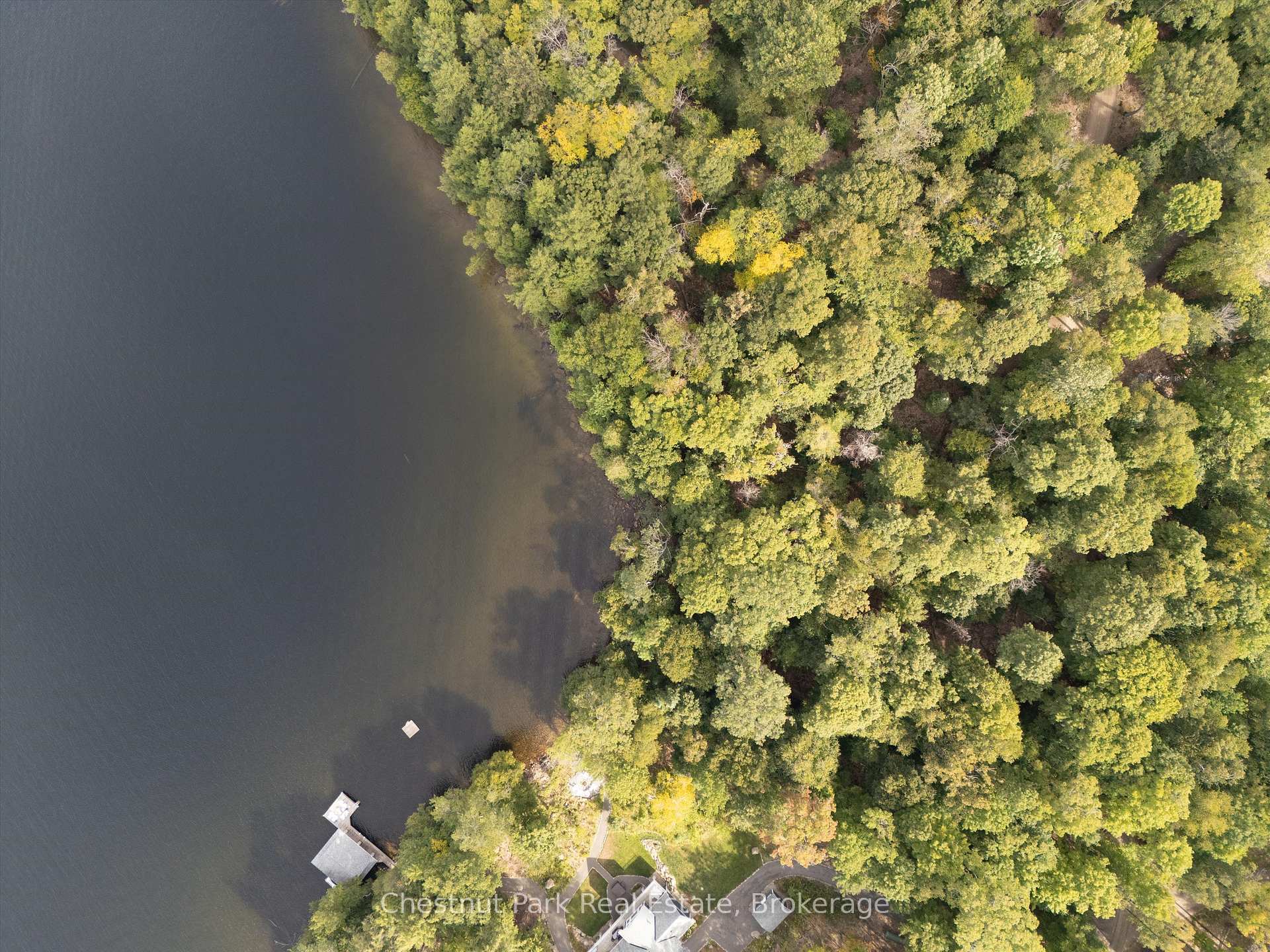 Land/Vacant Land's Image 5