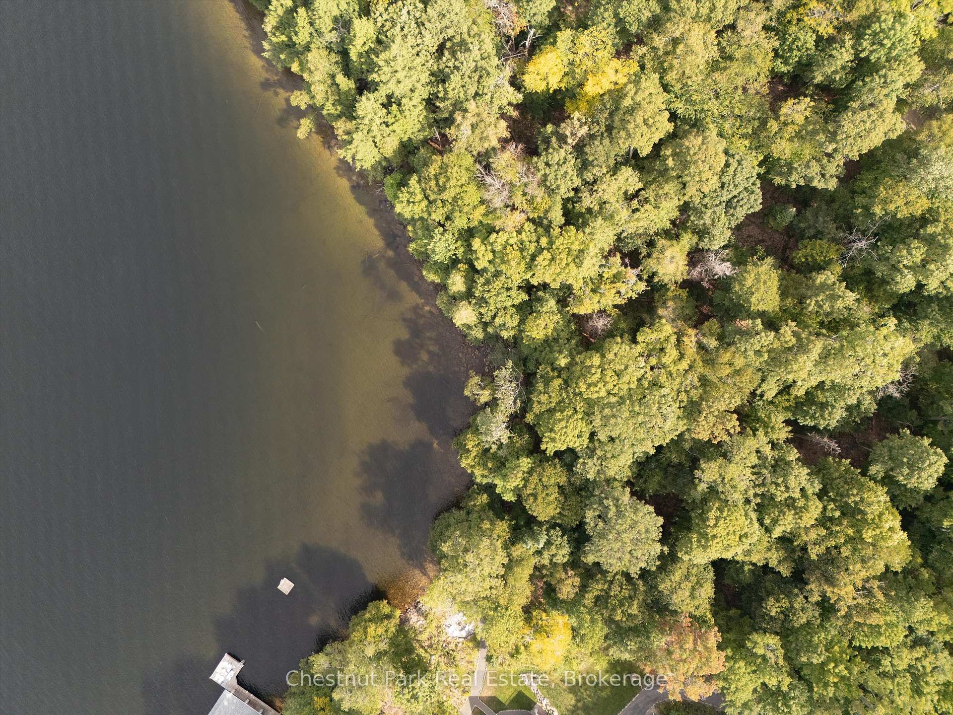 Land/Vacant Land's Image 4