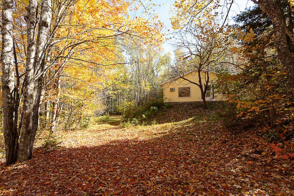 7415 Route 101   Welsford New Brunswick Canada Sold residential Judy Mitchell RE/MAX PROFESSIONALS SAINT JOHN INC.