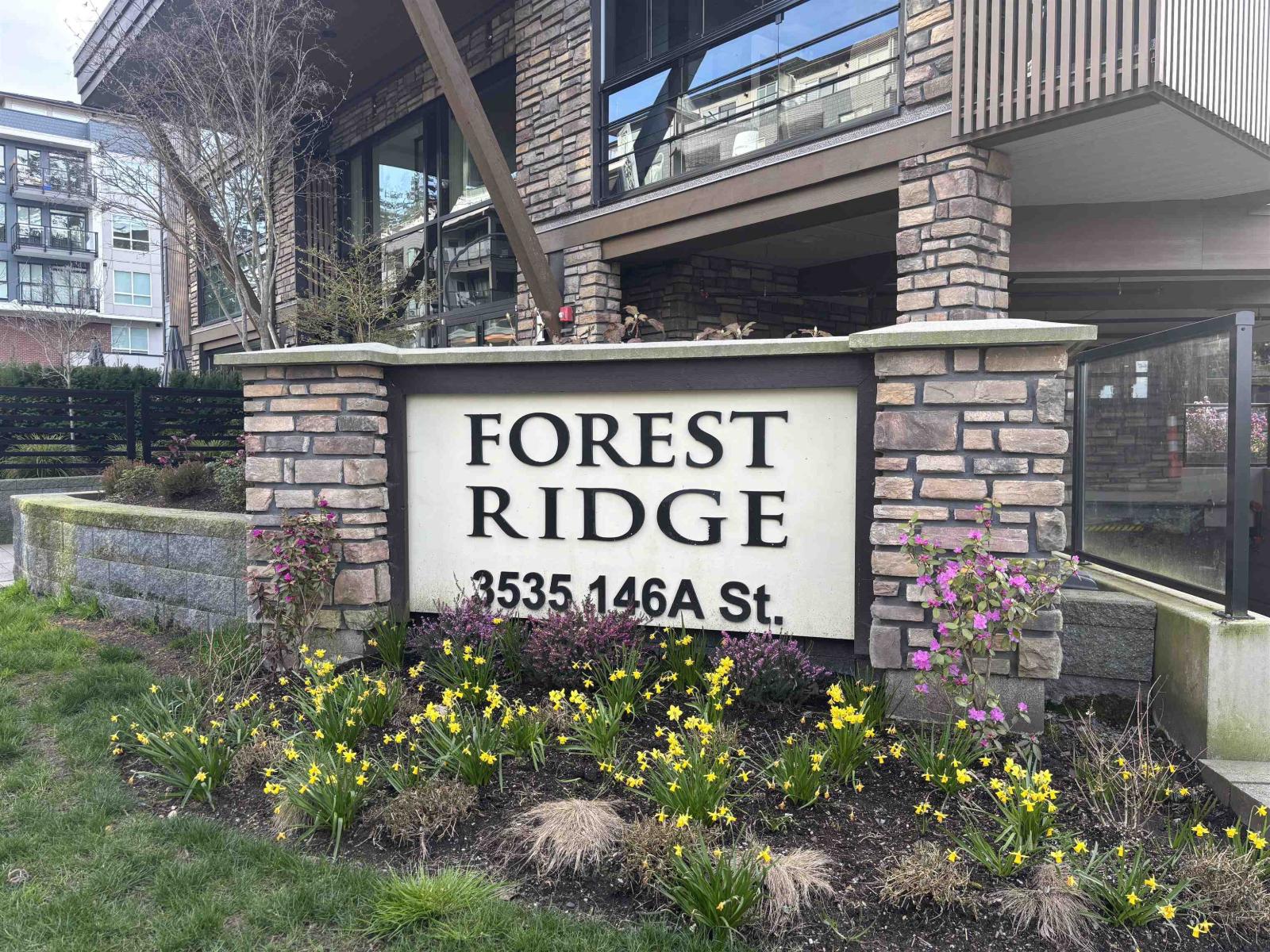 505 3535 146A STREET Surrey British Columbia Canada Sale residential   First Stay Realty Inc.