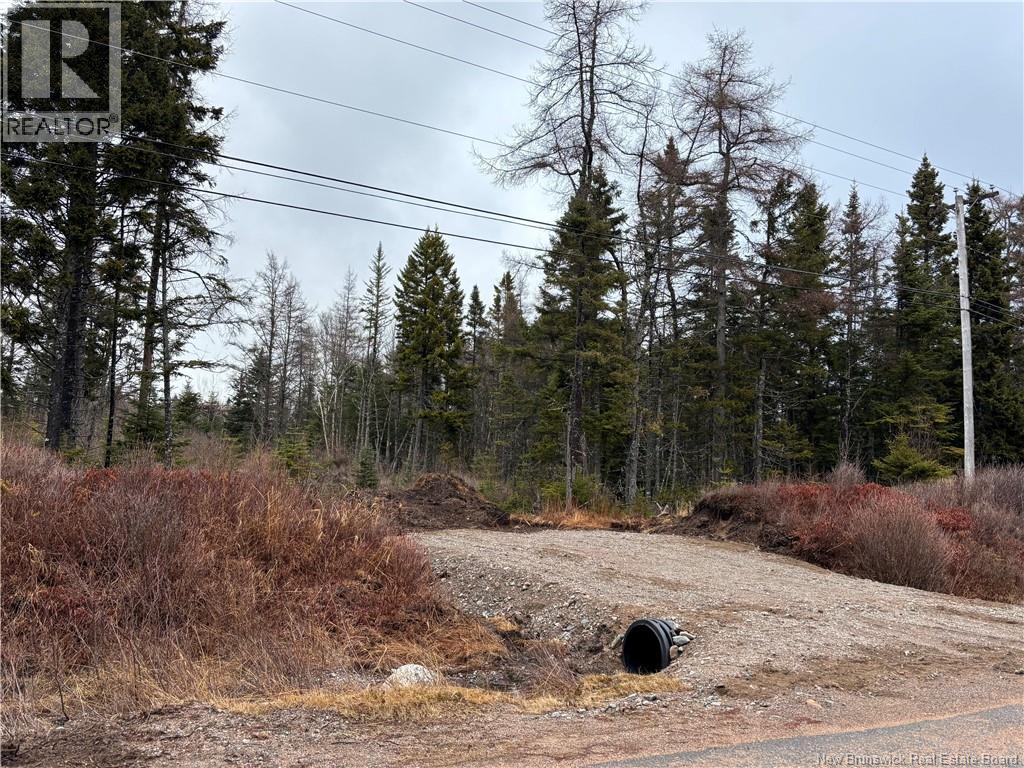 Mink Brook Road Lepreau New Brunswick Canada Sale residential Judy Mitchell RE/MAX PROFESSIONALS SAINT JOHN INC.