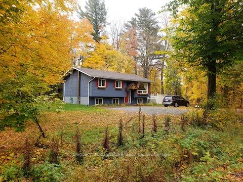 879 Stephenson Road E Huntsville Ontario Canada Sale residential Lee Miguel Gonzalez Century 21 Signature Service, Brokerage