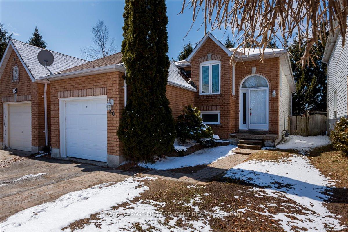 36 CHURCHLAND Drive Barrie Ontario Canada Sale residential Domenic D'Addio Royal LePage First Contact Realty Brokerage