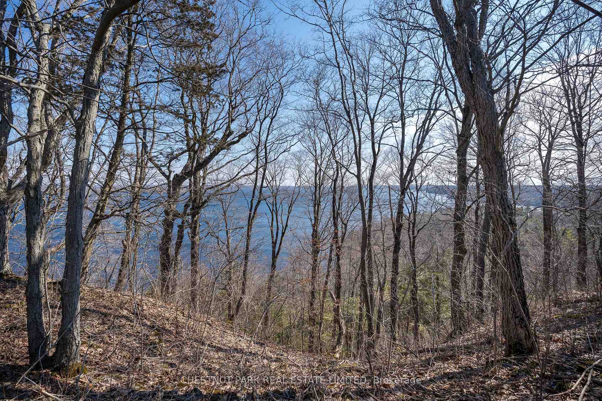 Land/Vacant Land's Image 16