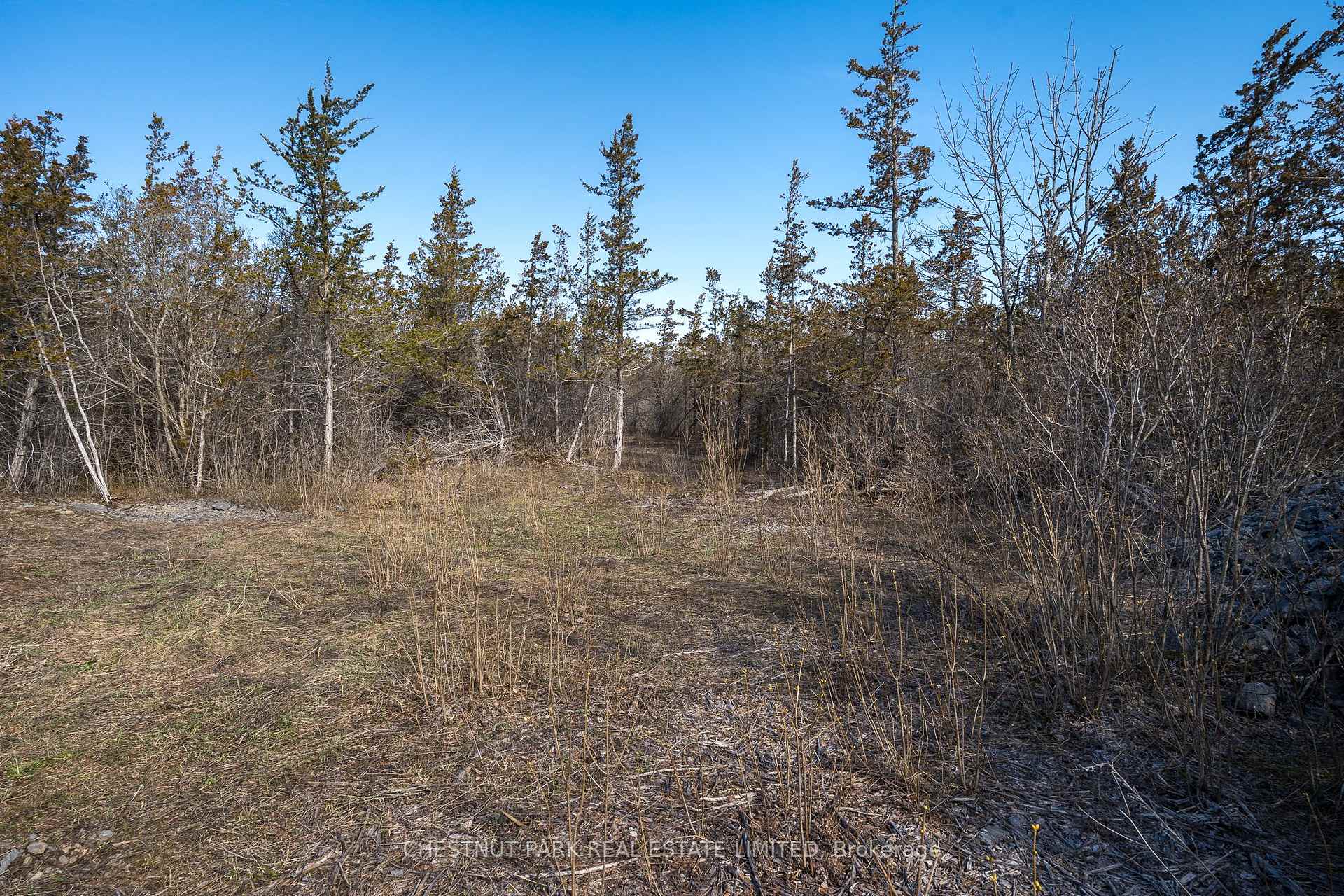Land/Vacant Land's Image 11
