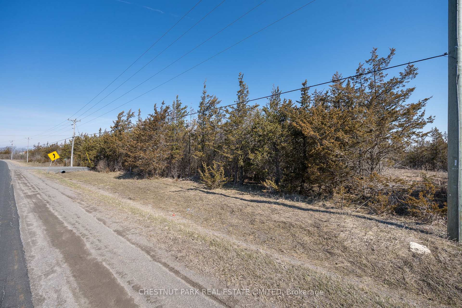 Land/Vacant Land's Image 10