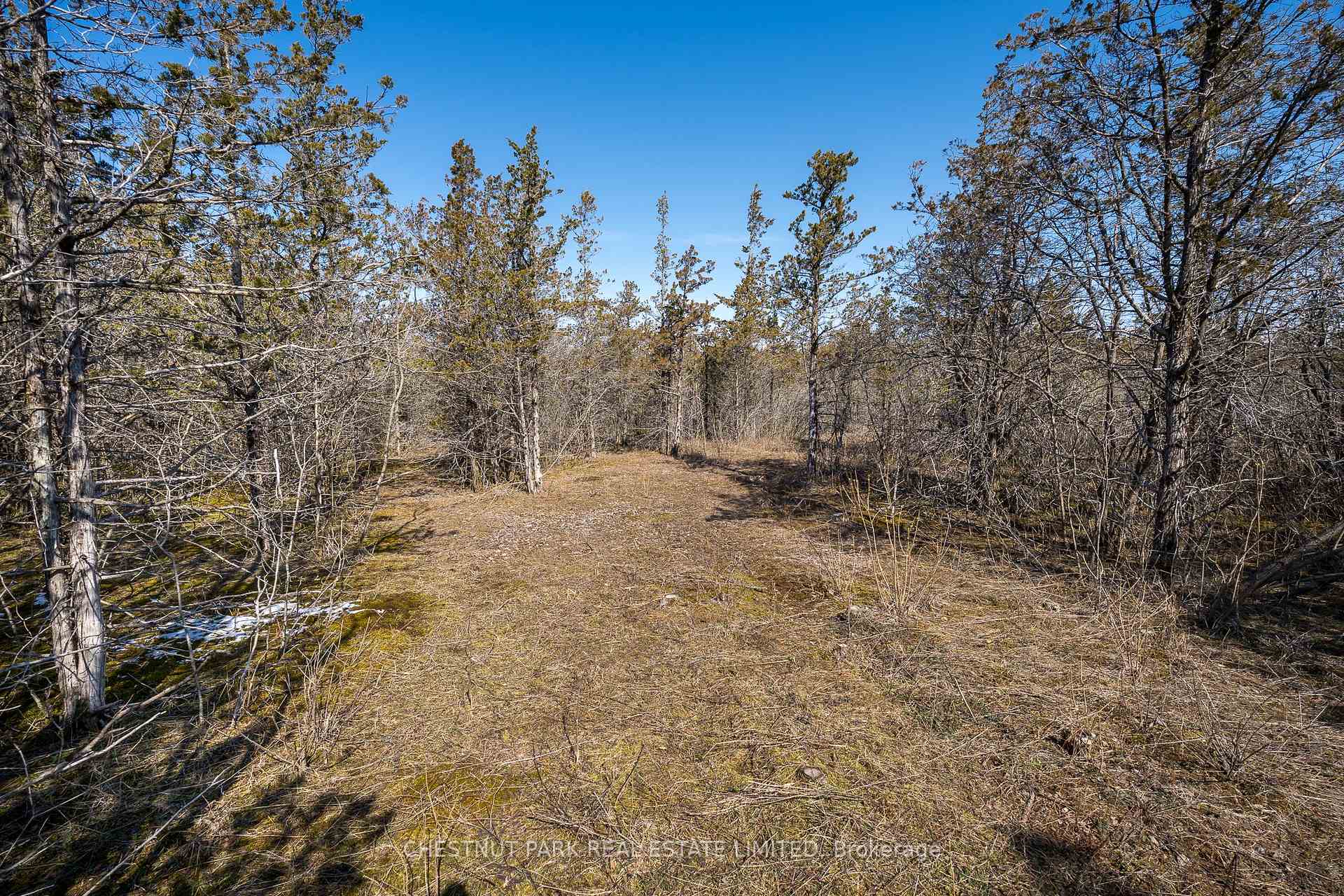 Land/Vacant Land's Image 13