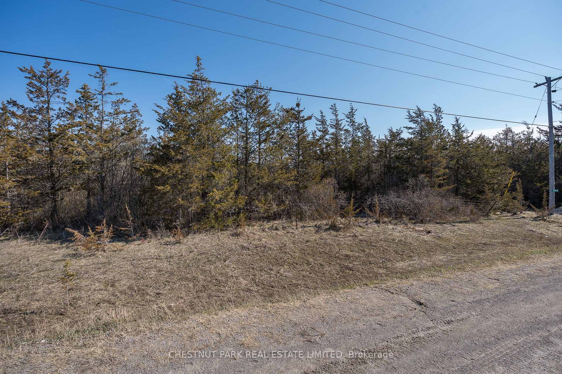 Land/Vacant Land's Image 9