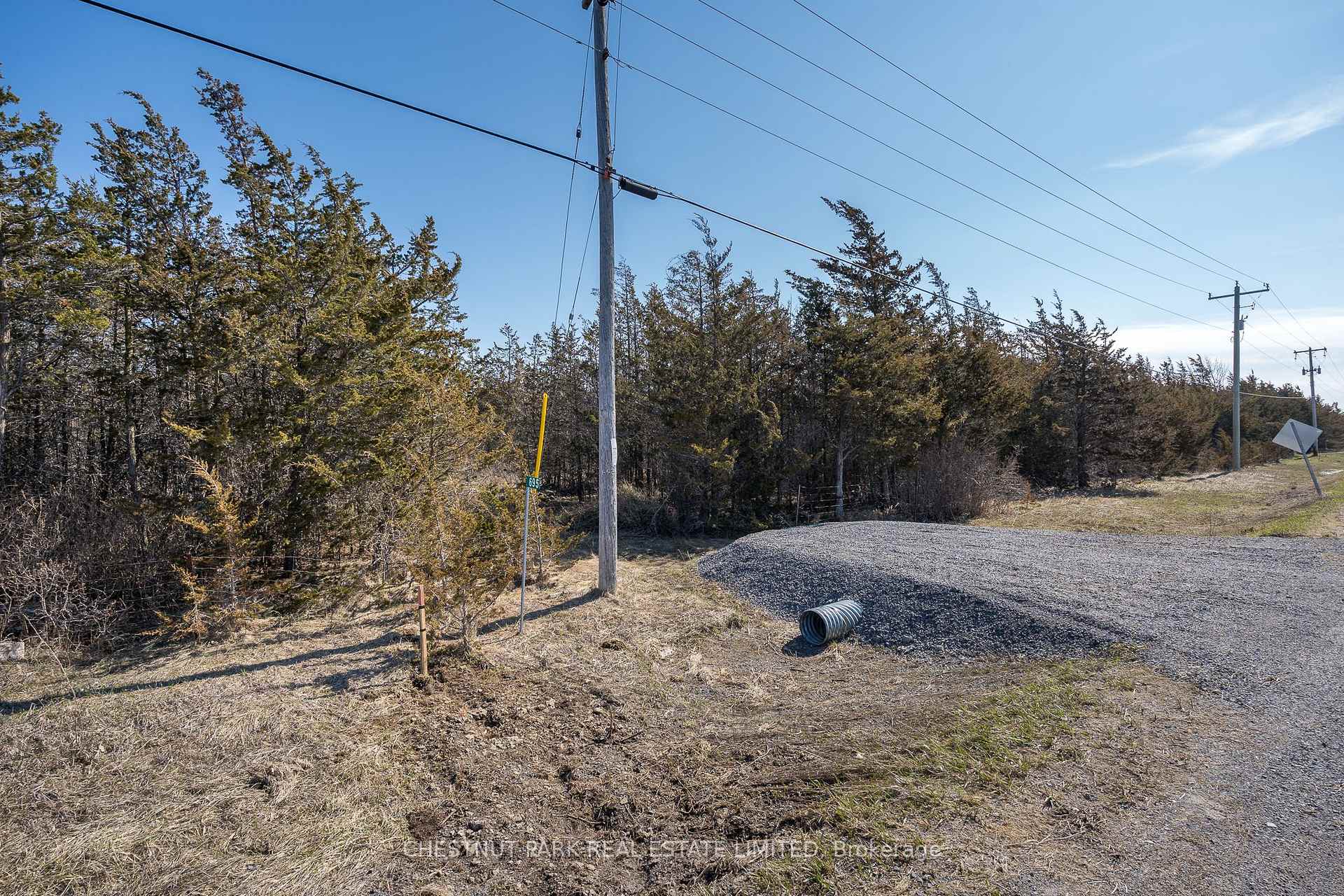 Land/Vacant Land's Image 8