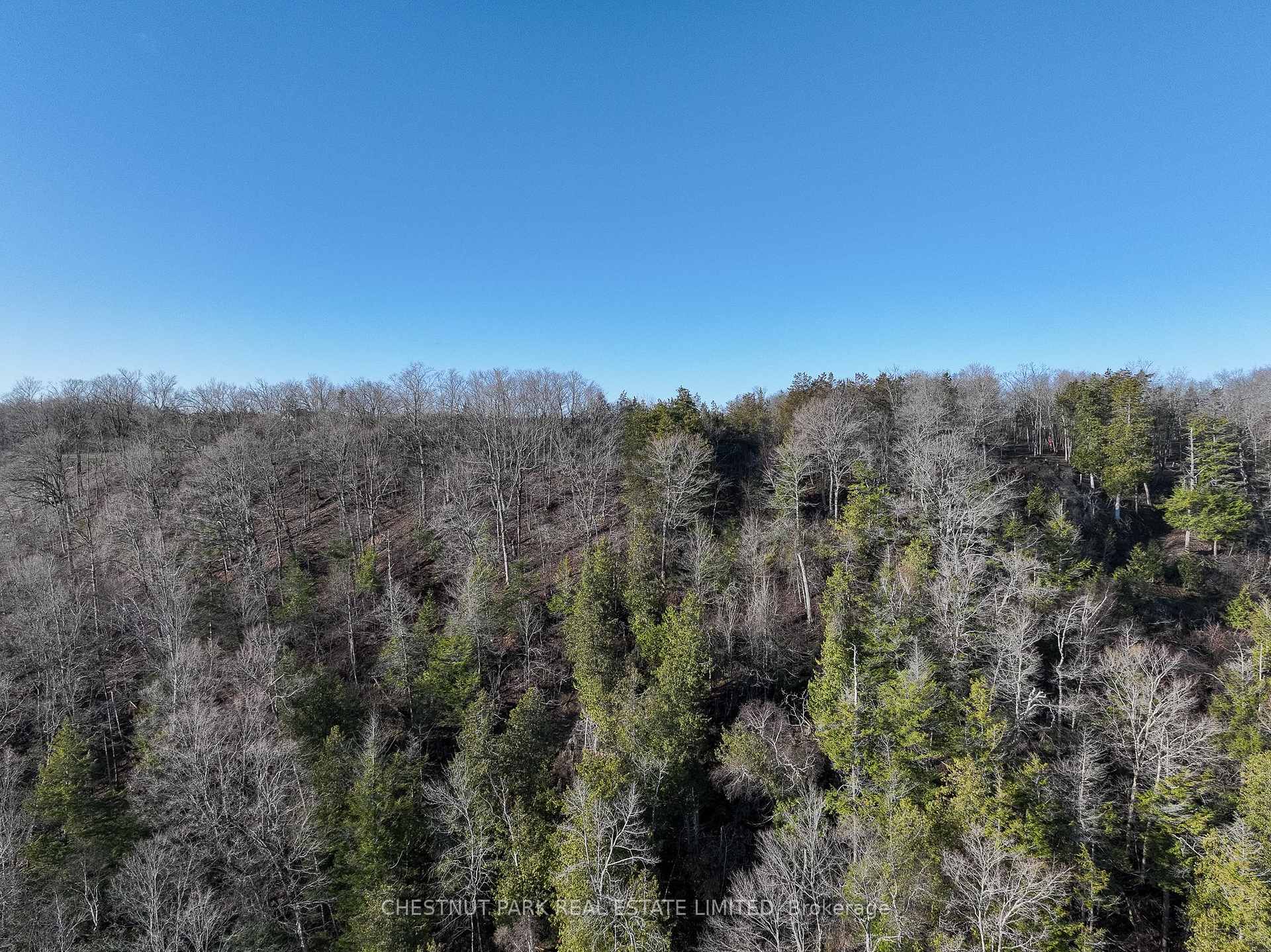 Land/Vacant Land's Image 6