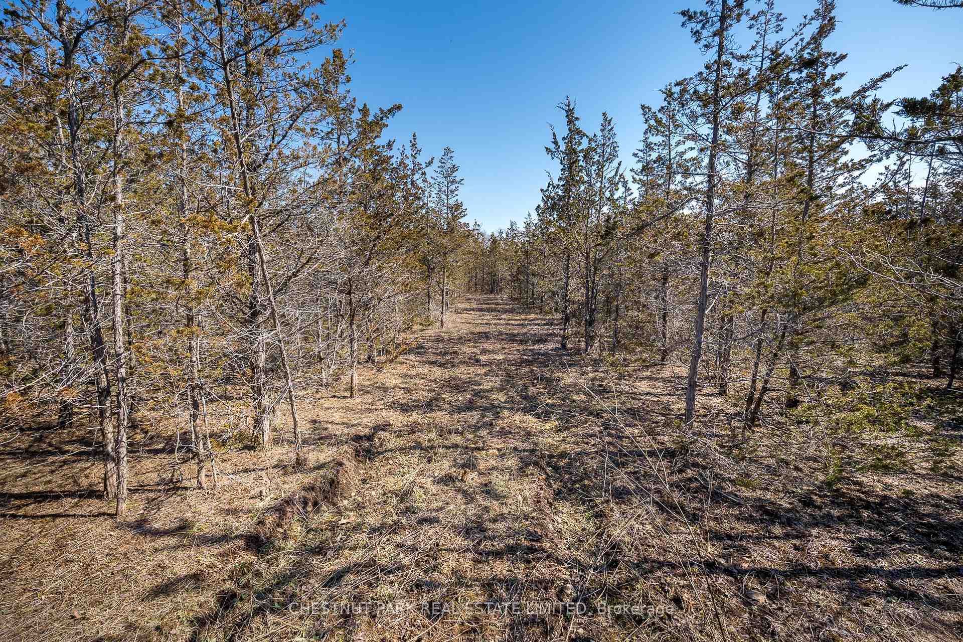 Land/Vacant Land's Image 15
