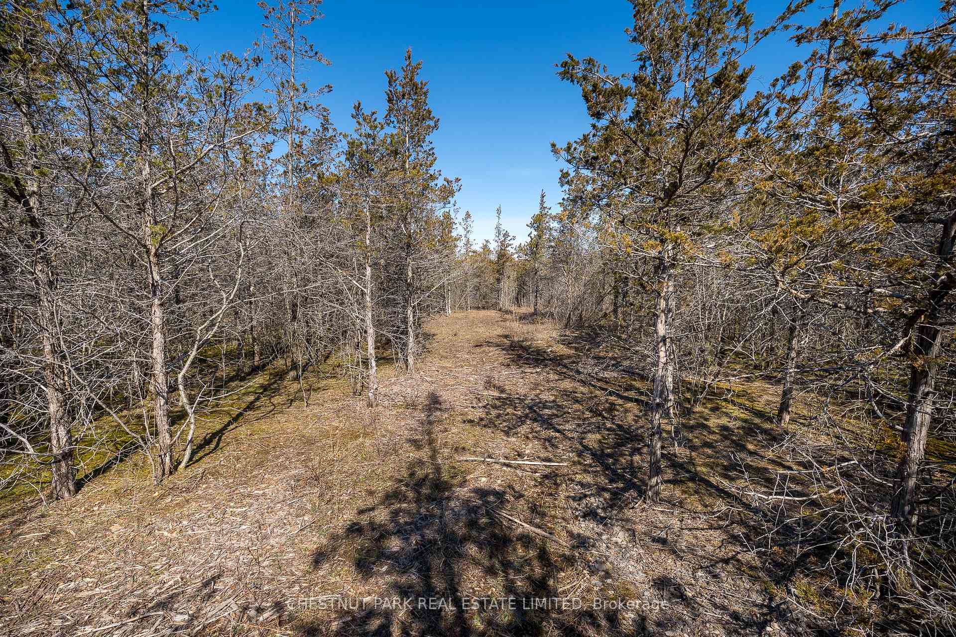 Land/Vacant Land's Image 14