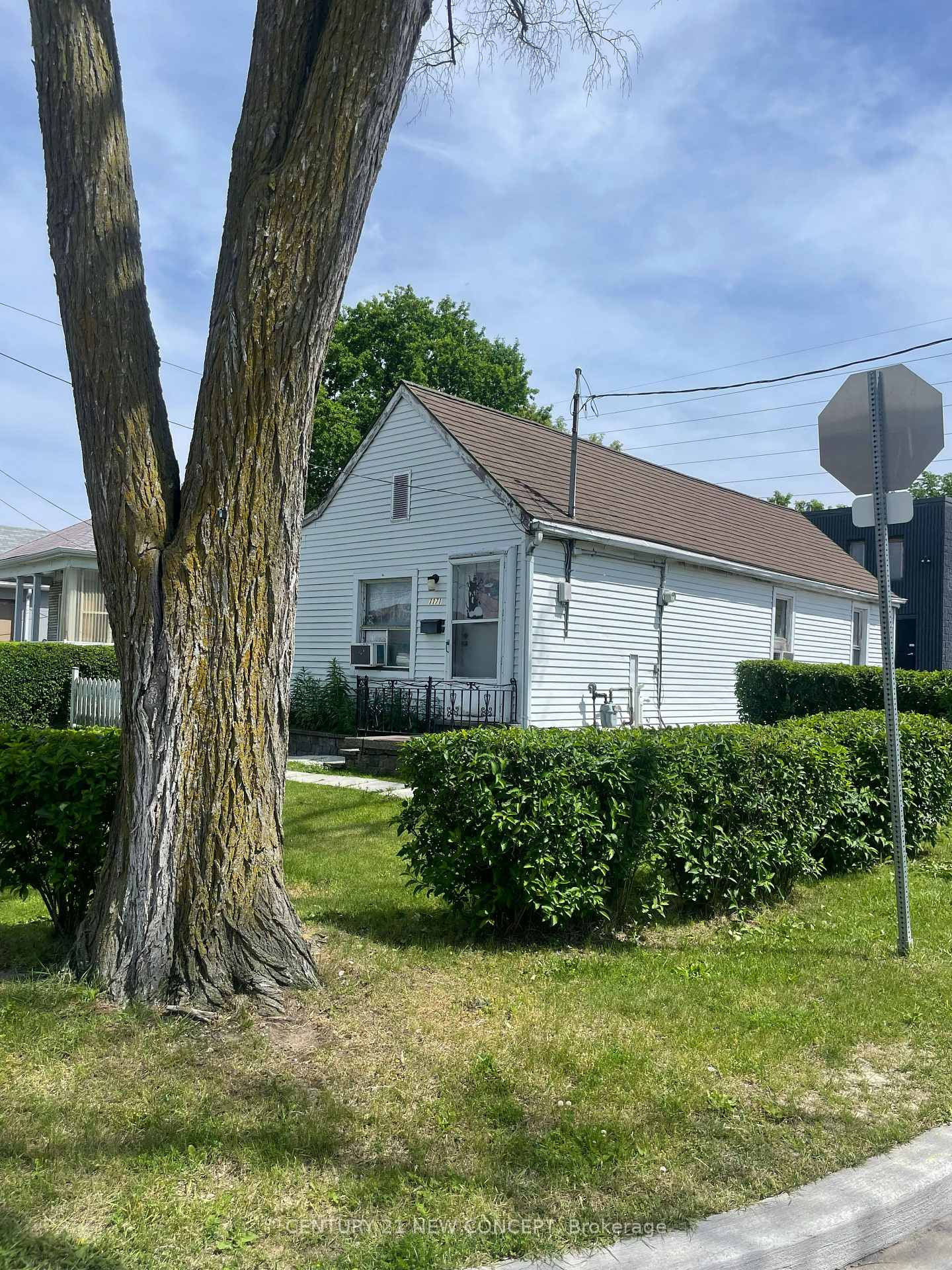 1171 Roselawn Avenue Toronto Ontario Canada Sale residential Angela Mandalas Johnston & Daniel, A Division of Royal LePage Real Estate Services Ltd., Brokerage